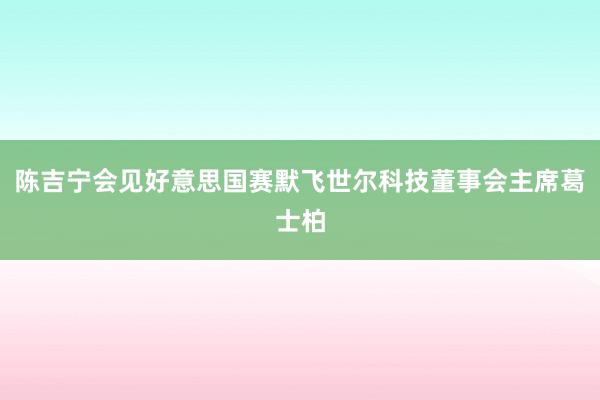 陈吉宁会见好意思国赛默飞世尔科技董事会主席葛士柏