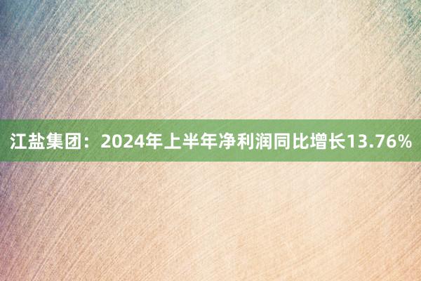 江盐集团：2024年上半年净利润同比增长13.76%