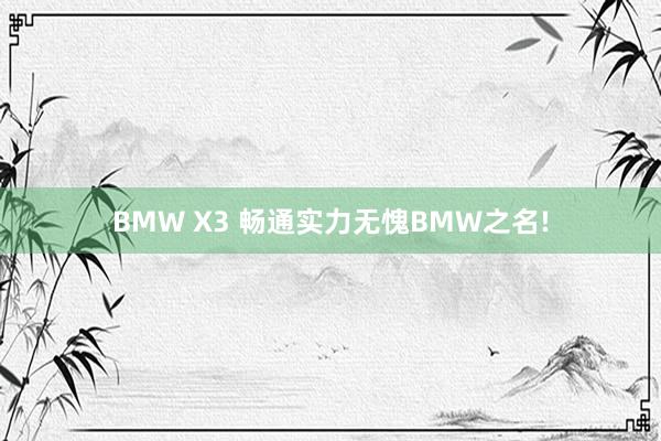 BMW X3 畅通实力无愧BMW之名!